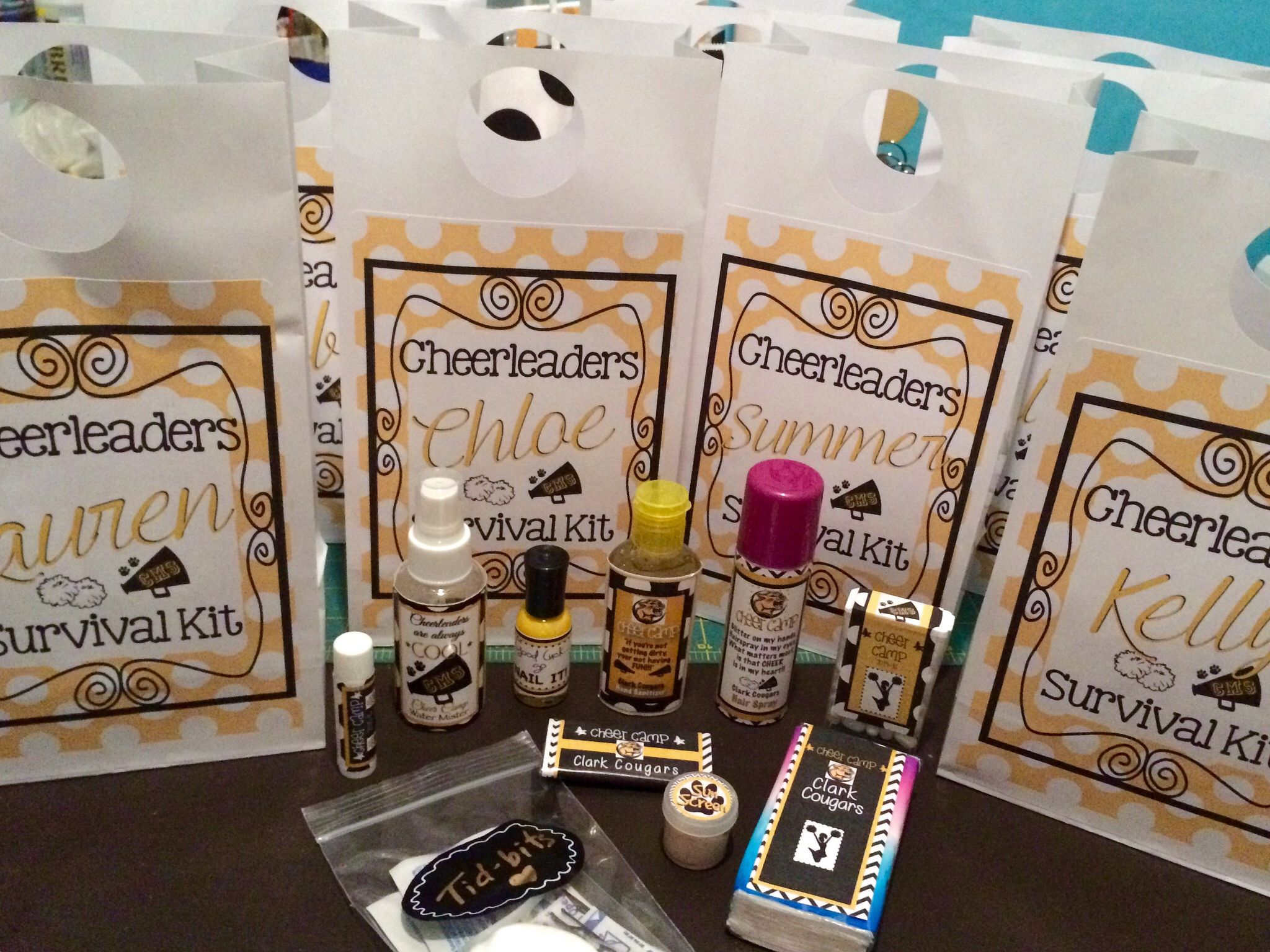 Pin On Cheer Try Out Gifts
